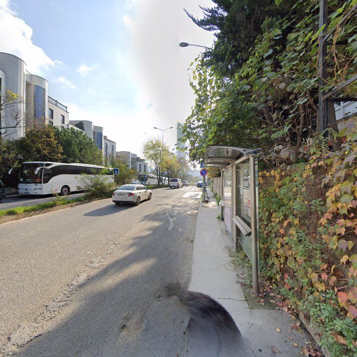 Fotoğraf 11