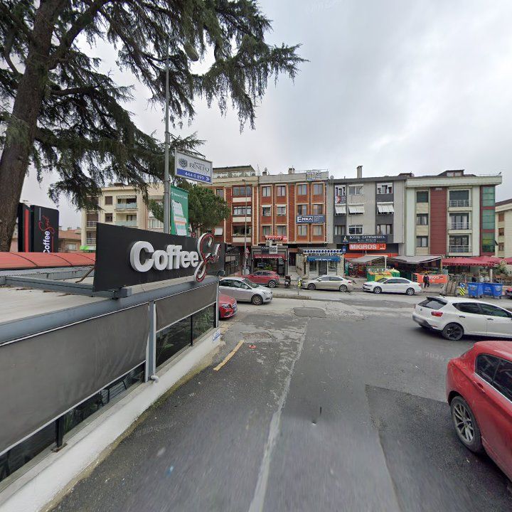 Fotoğraf 11