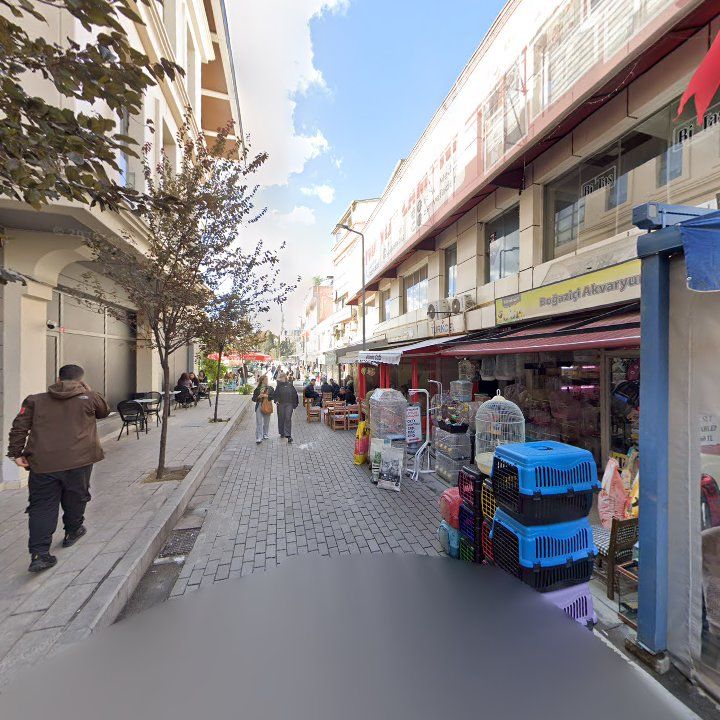 Fotoğraf 13