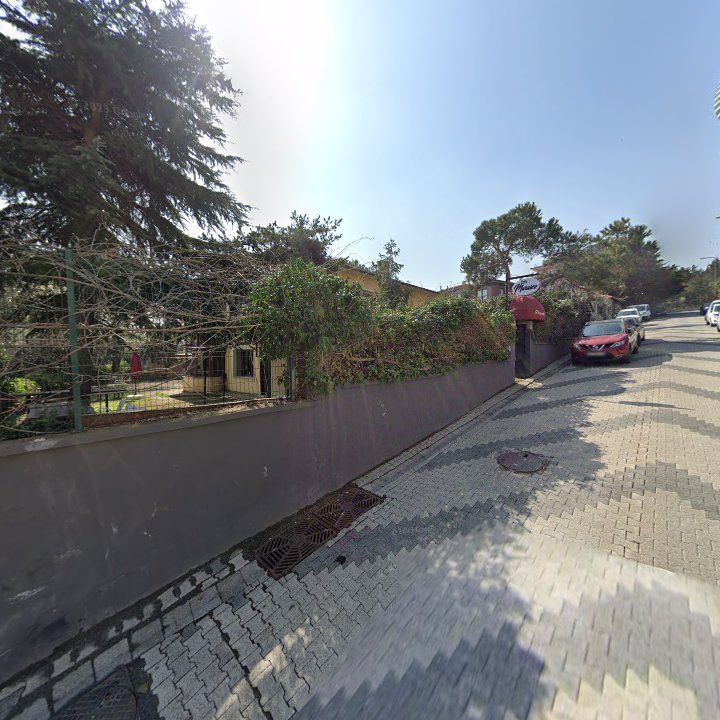 Fotoğraf 10