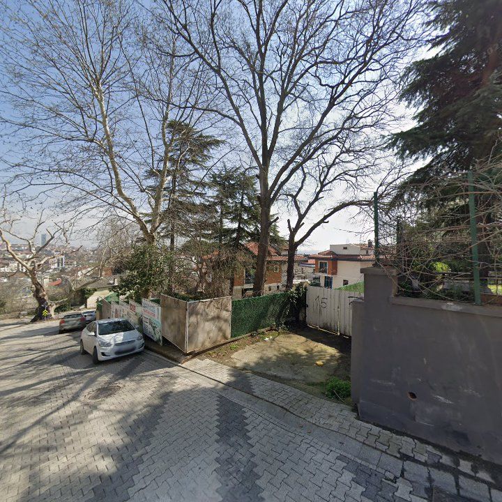Fotoğraf 13
