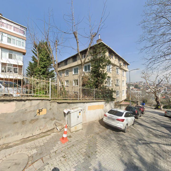 Fotoğraf 12