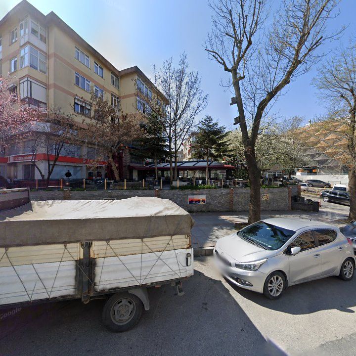 Fotoğraf 10