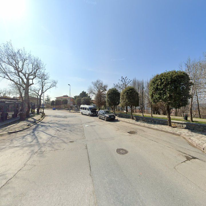 Fotoğraf 8