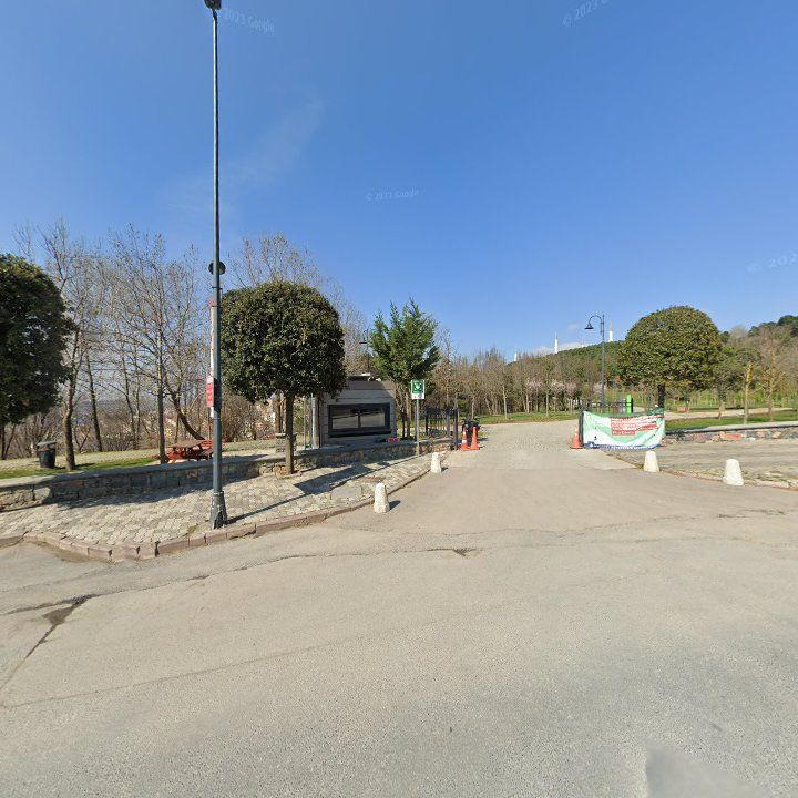 Fotoğraf 9