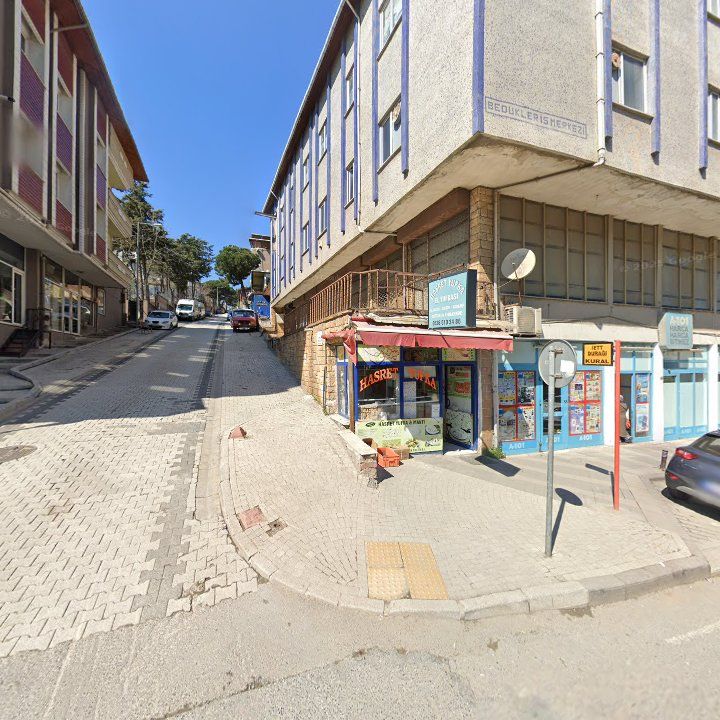 Fotoğraf 8