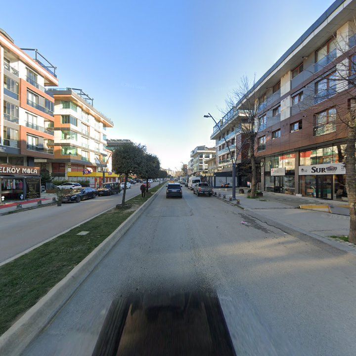 Fotoğraf 16
