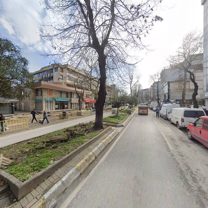 Fotoğraf 12