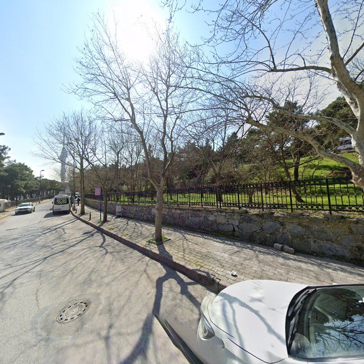 Fotoğraf 15