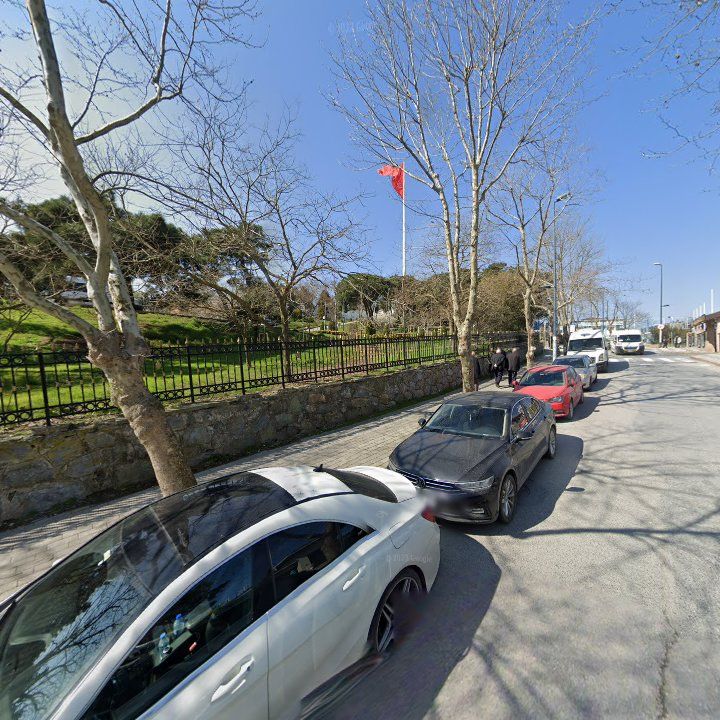 Fotoğraf 16