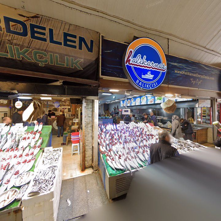 Fotoğraf 11
