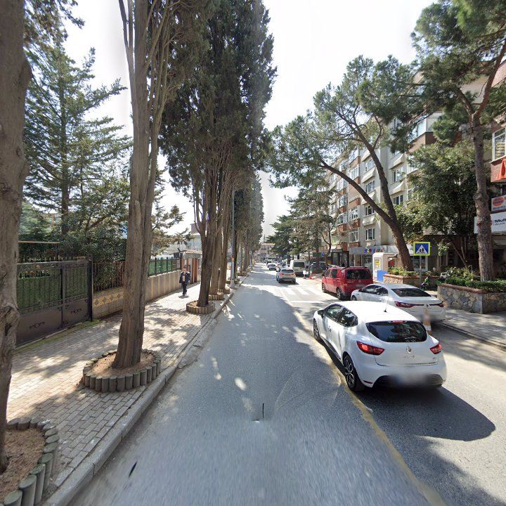 Fotoğraf 10