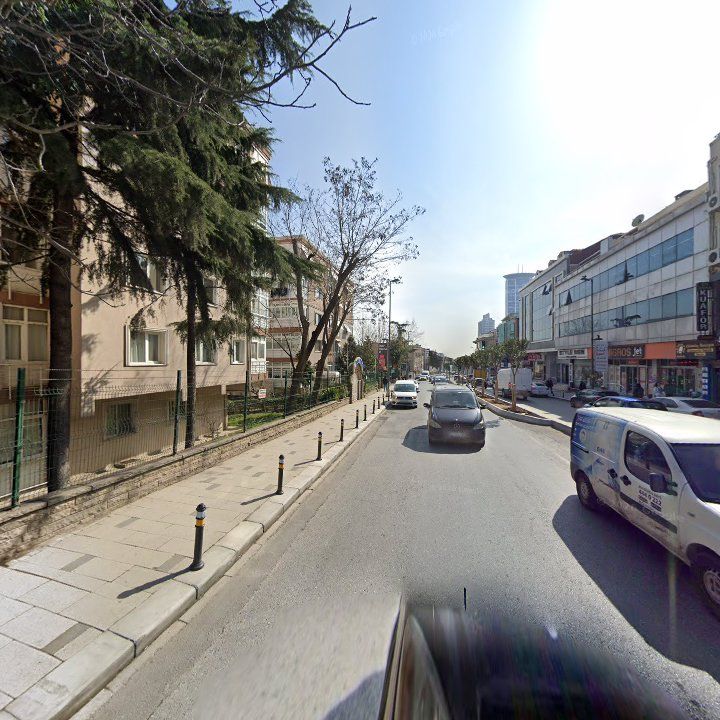 Fotoğraf 10