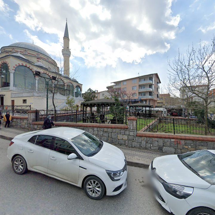 Fotoğraf 8
