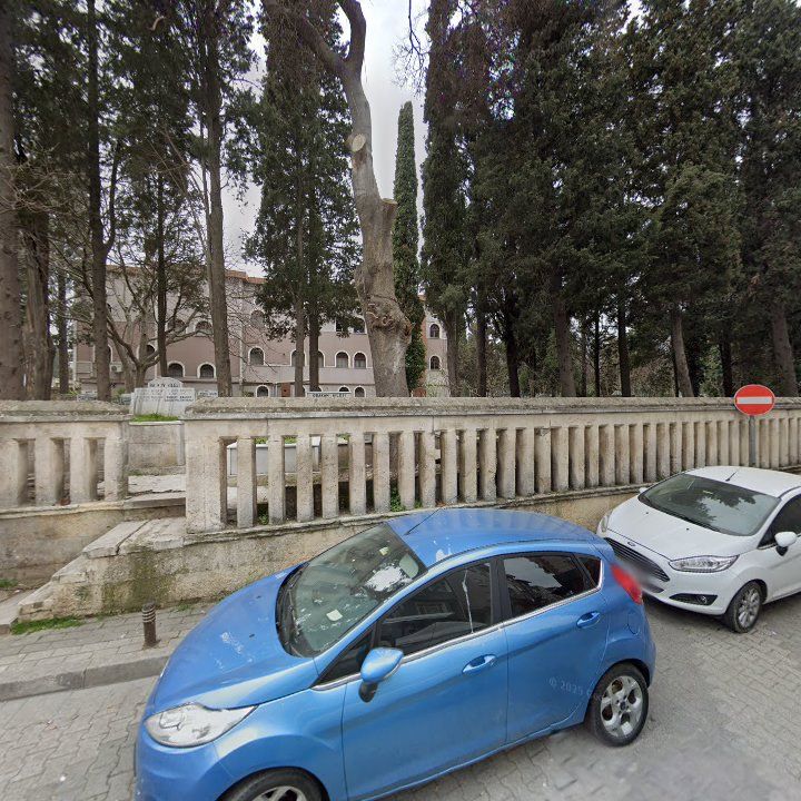 Fotoğraf 11