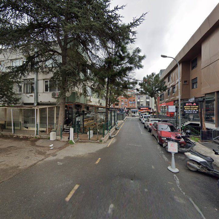 Fotoğraf 10