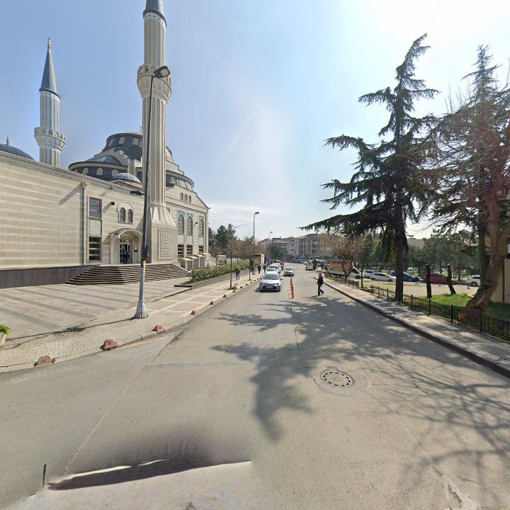 Fotoğraf 12