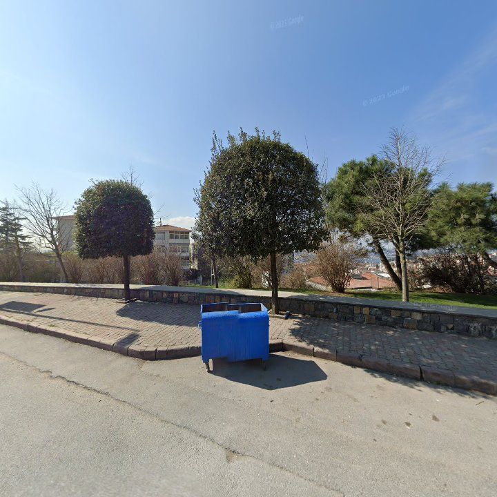 Fotoğraf 9