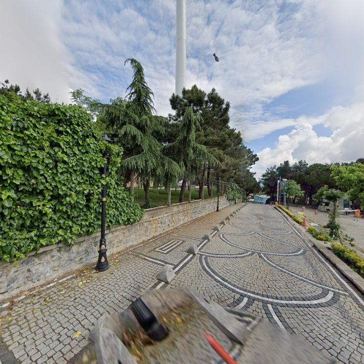 Fotoğraf 13