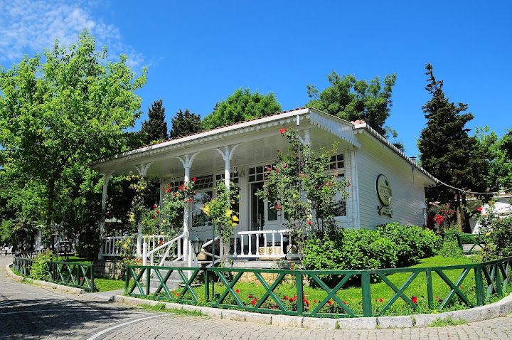 Fotoğraf 11