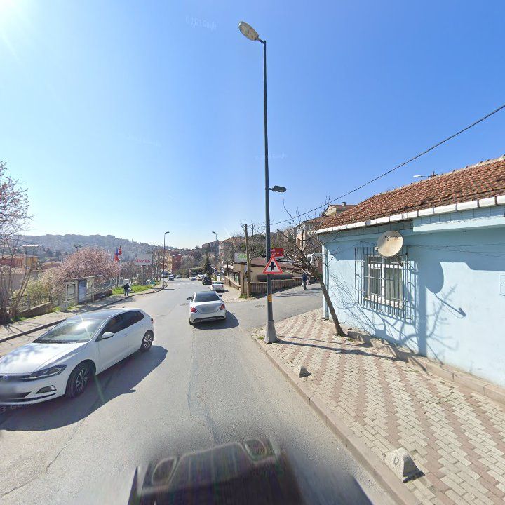 Fotoğraf 8