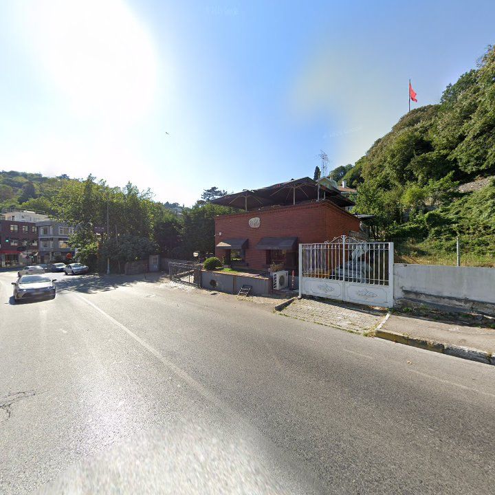 Fotoğraf 11