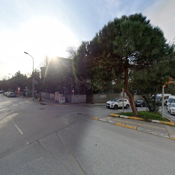 Fotoğraf 12