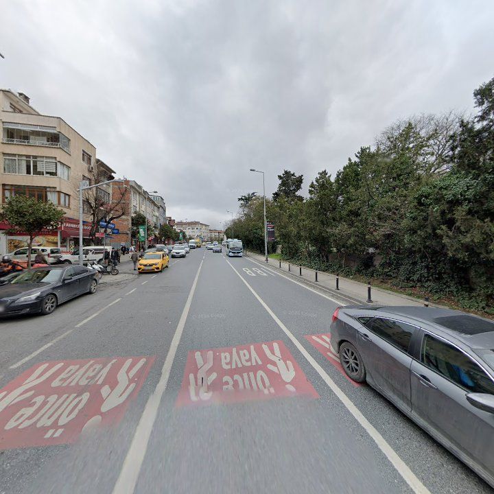 Fotoğraf 11