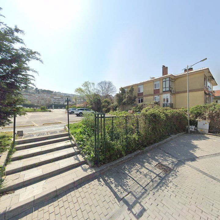 Fotoğraf 14