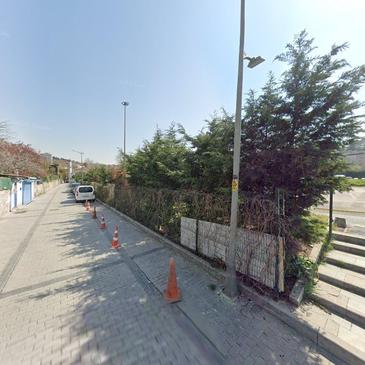 Fotoğraf 13
