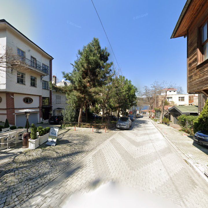 Fotoğraf 13