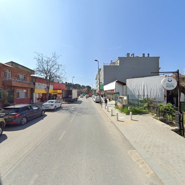 Fotoğraf 6