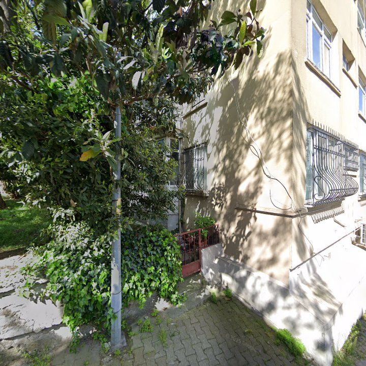 Fotoğraf 11