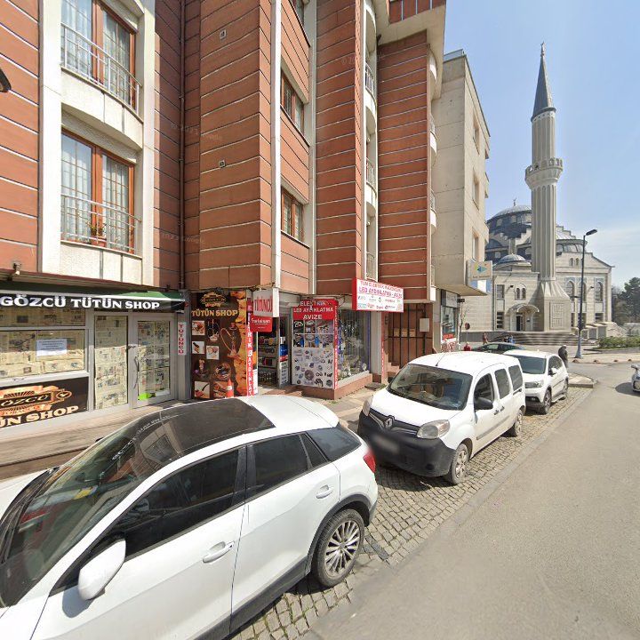 Fotoğraf 7