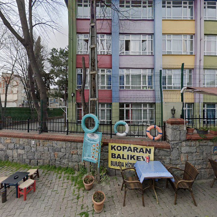 Fotoğraf 12