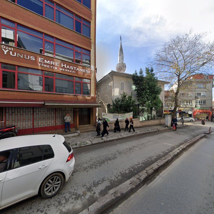 Fotoğraf 15