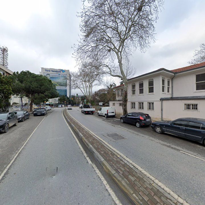 Fotoğraf 15