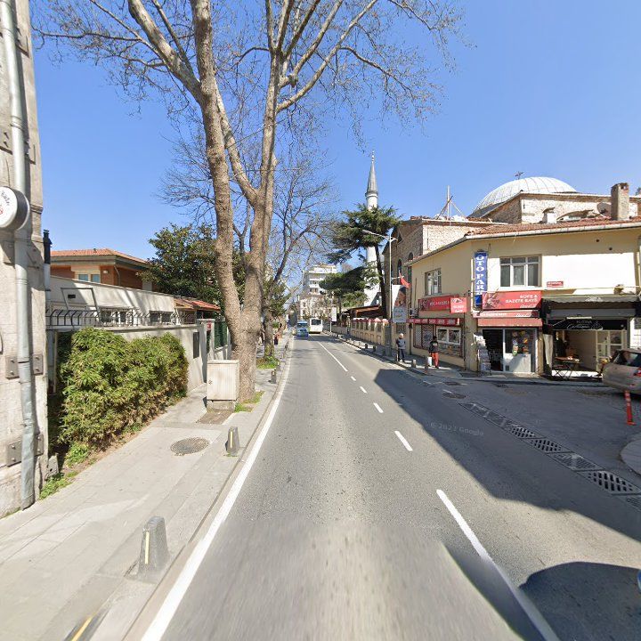 Fotoğraf 9