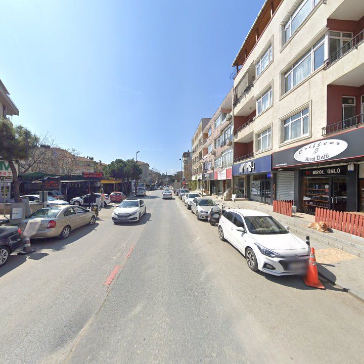 Fotoğraf 11
