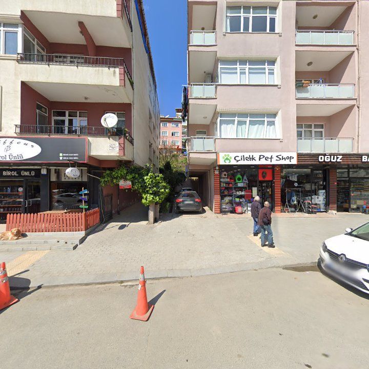 Fotoğraf 12