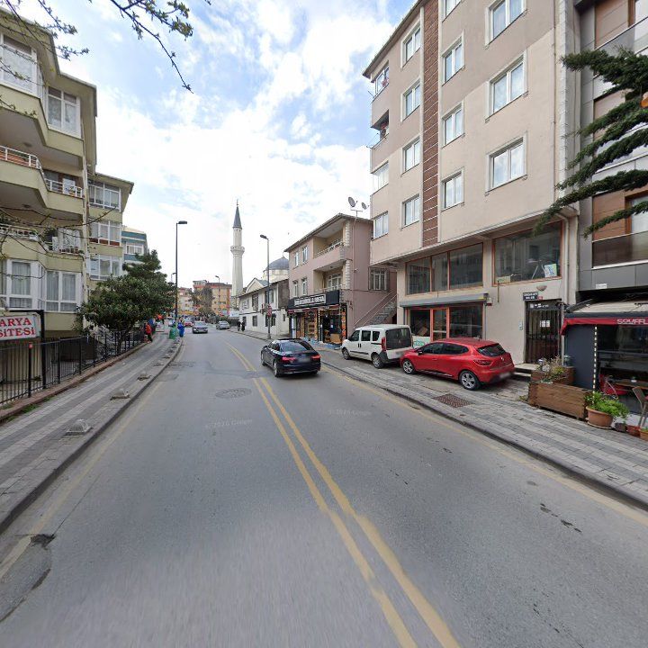Fotoğraf 11