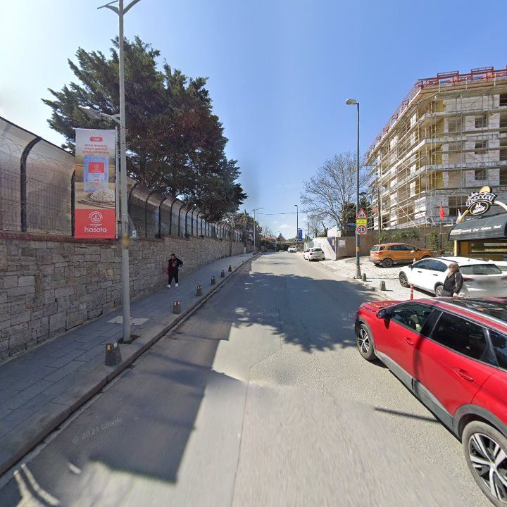 Fotoğraf 12