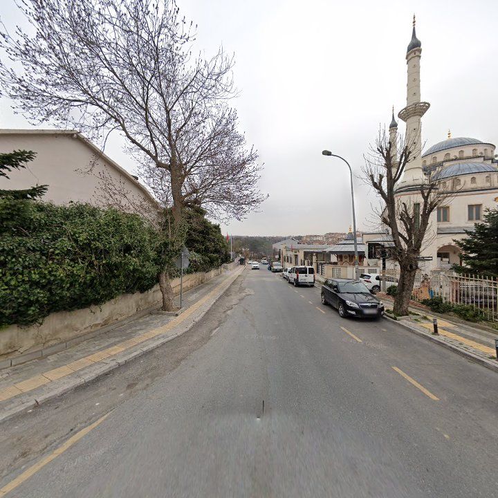 Fotoğraf 12