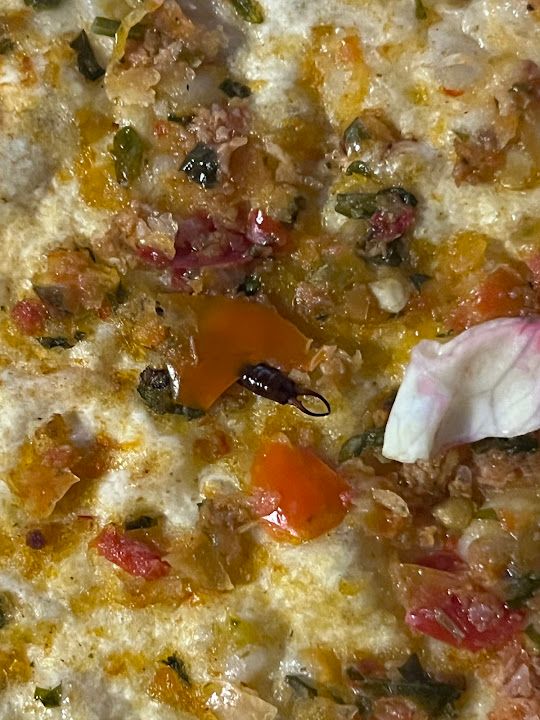 Liva Pide Lahmacun Kebap