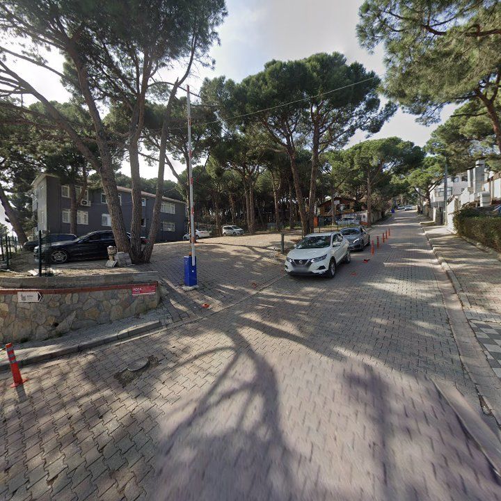Fotoğraf 10