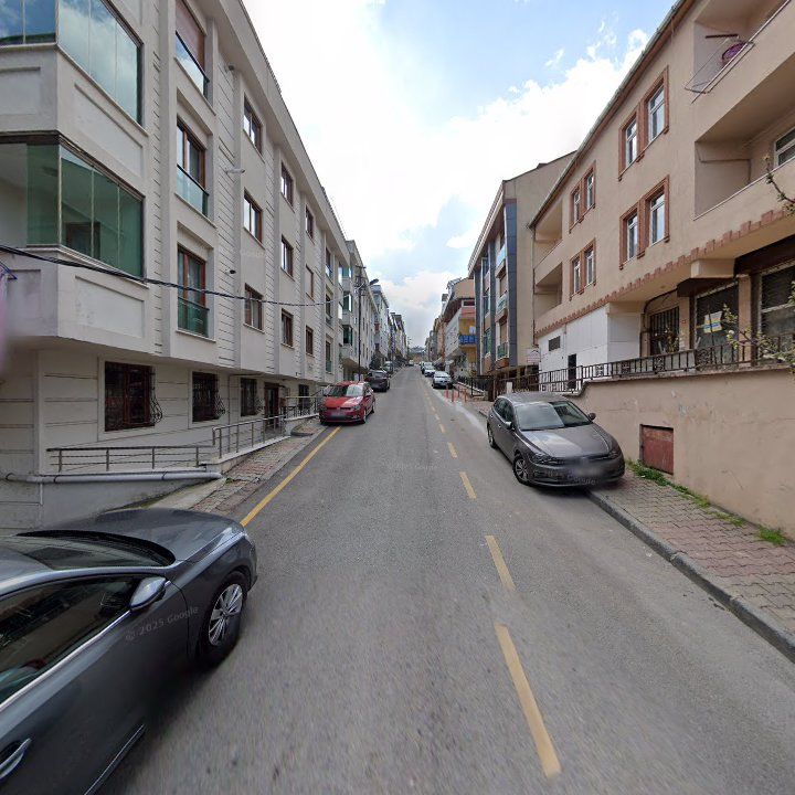 Fotoğraf 12
