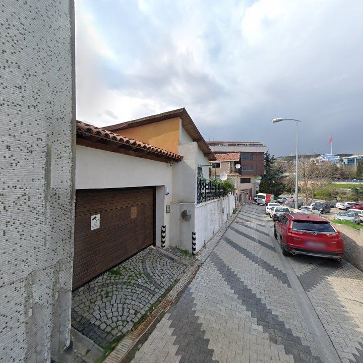 Fotoğraf 10