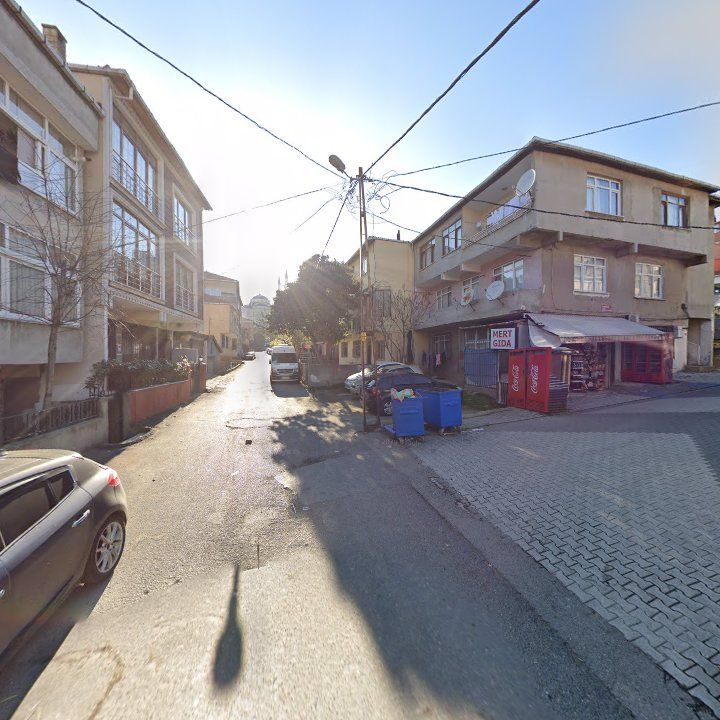 Mert Gıda