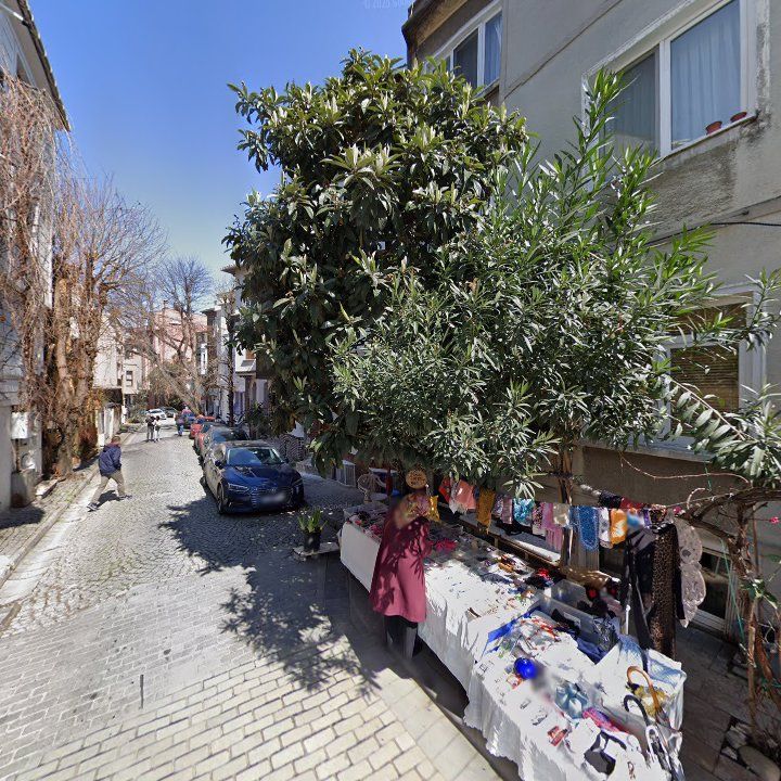 Fotoğraf 15