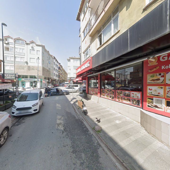 Fotoğraf 11